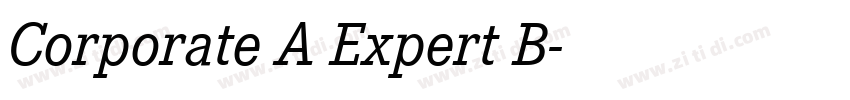 Corporate A Expert B字体转换